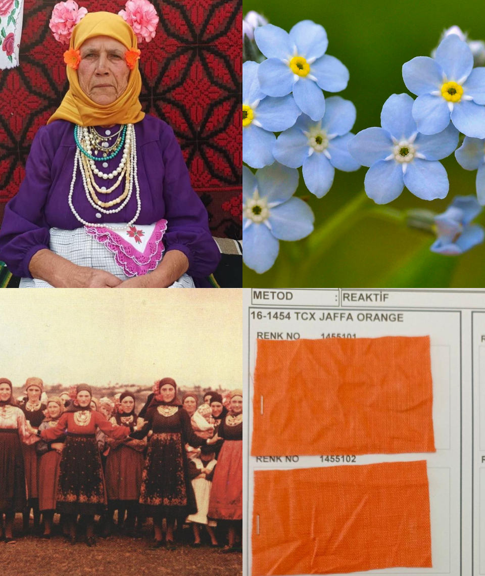 Етнографічний регіон Південна Бессарабія